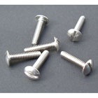Stainless bodywork screws
